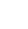 IP Protection
